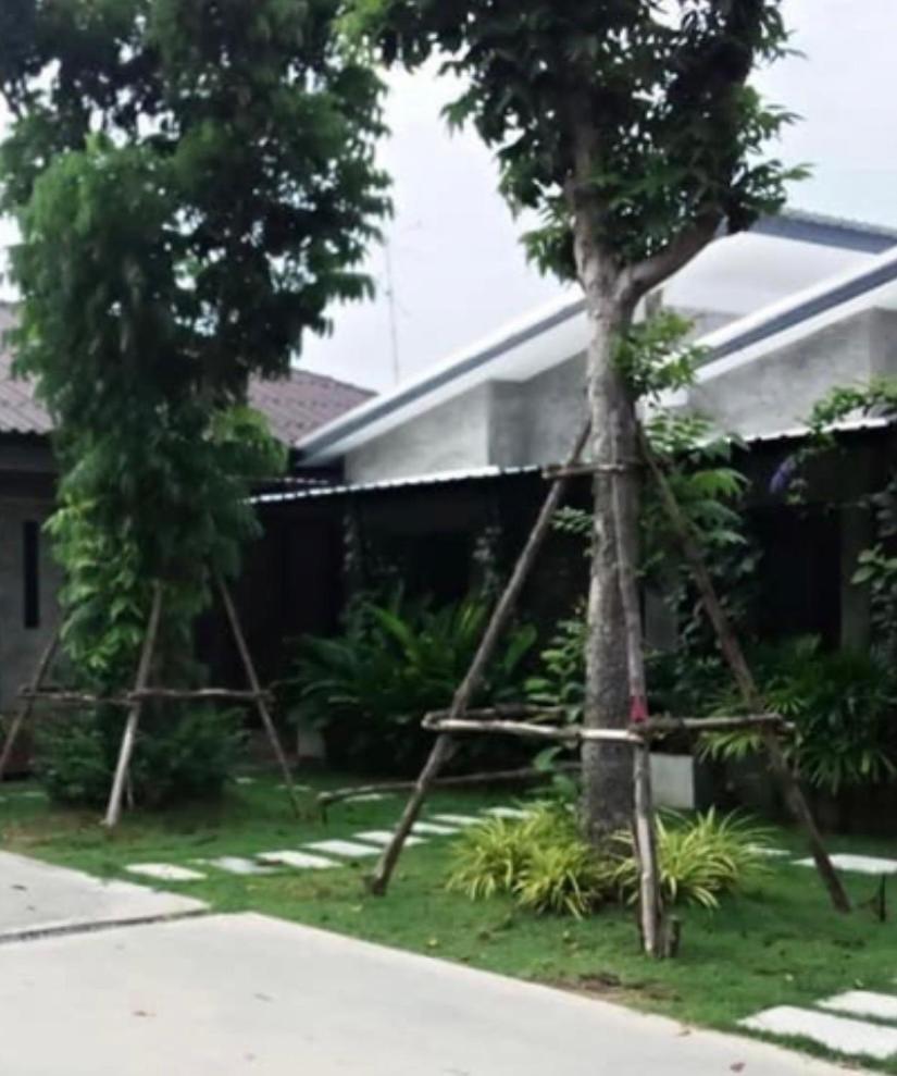 บ้านพักบุหงา199 อ สรรพยา Sapphaya Exteriér fotografie